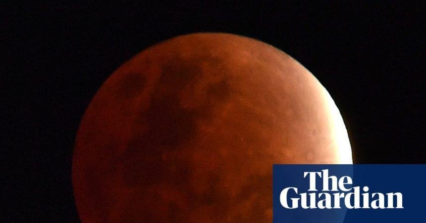 Starwatch: Lunar eclipse to reward early risers in UK and Europe