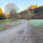 Agency says forest campsite could 'risk life'