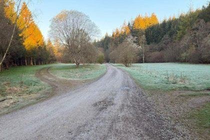 Agency says forest campsite could 'risk life'