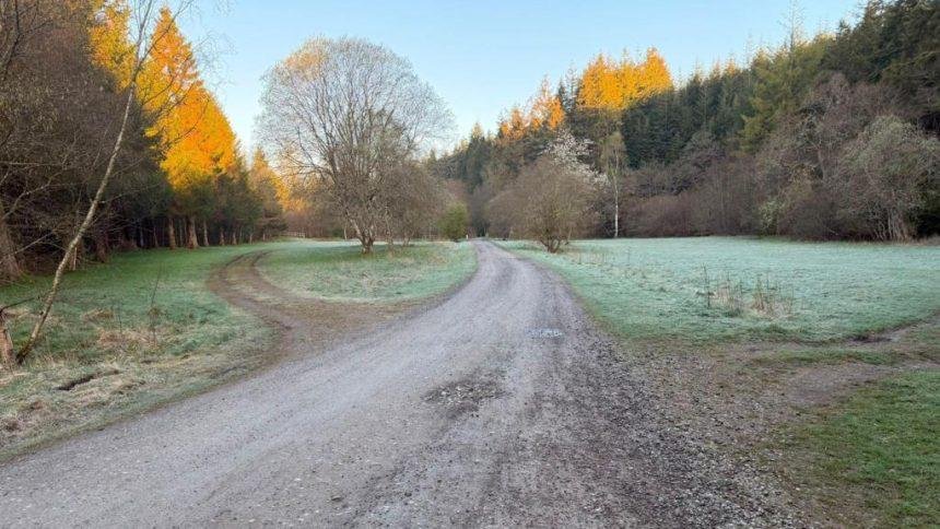 Agency says forest campsite could 'risk life'