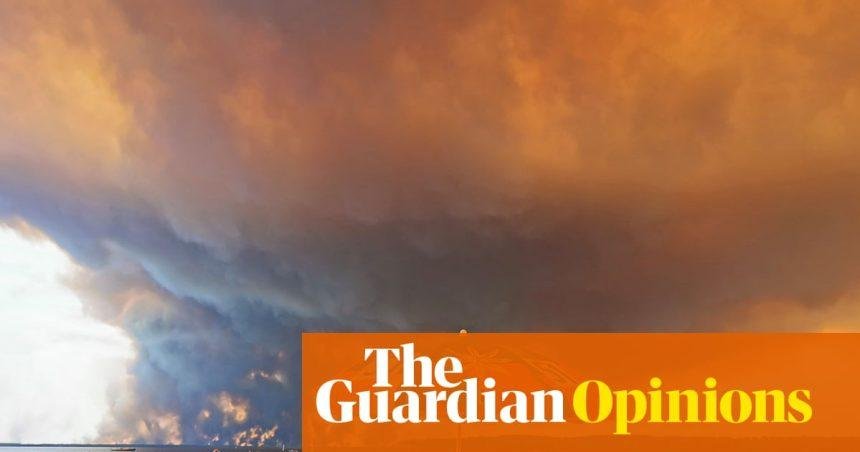 This is not a natural calamity: it is being done to us knowingly