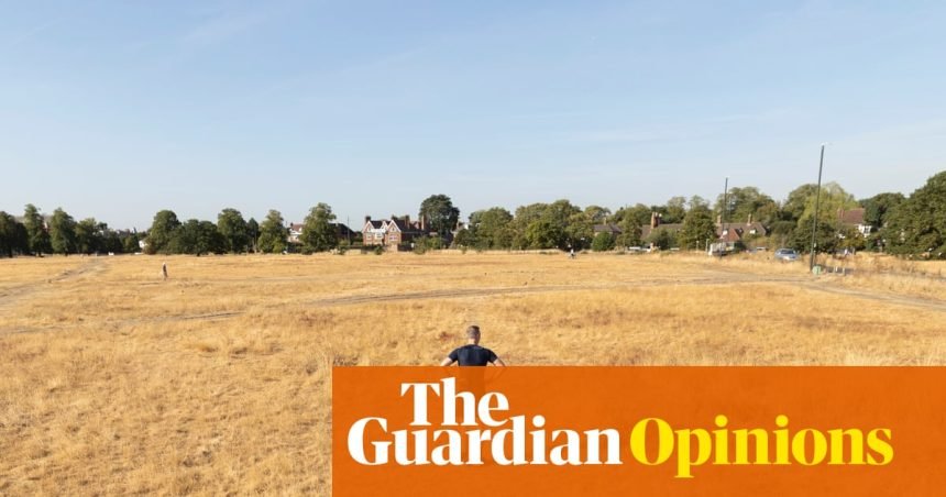 Our climate is changing rapidly – and our politicians sound increasingly surreal | Zoe Williams