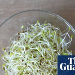 Alfalfa sprouts linked to food-poisoning outbreak in 15 states, US officials say