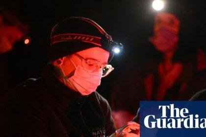 How do you vaccinate 1,000 tiny penguins against bird flu in the wild? It’s ‘really tricky’ but there is a way