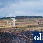 Country diary: South Wales’s summer of fires will linger long in the memory | Eben Muse