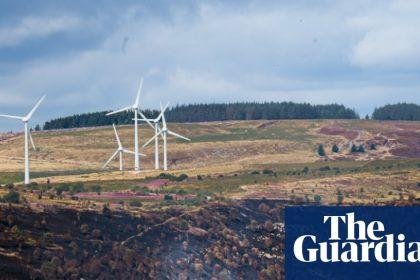 Country diary: South Wales’s summer of fires will linger long in the memory | Eben Muse