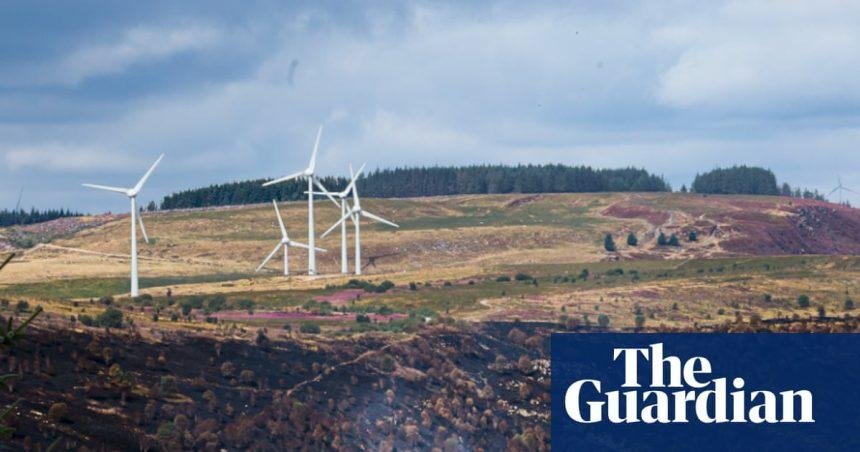 Country diary: South Wales’s summer of fires will linger long in the memory | Eben Muse