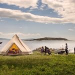 On a Tiny Scottish Island, Going on Safari and Finding a Wilder World Than I Imagined