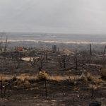 Out-of-control Hawk Fire in Reno, Nevada keeping tens of thousands evacuated