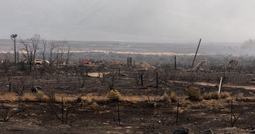Out-of-control Hawk Fire in Reno, Nevada keeping tens of thousands evacuated