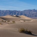 Tourist dies in Death Valley after car gets stuck in 116-degree heat