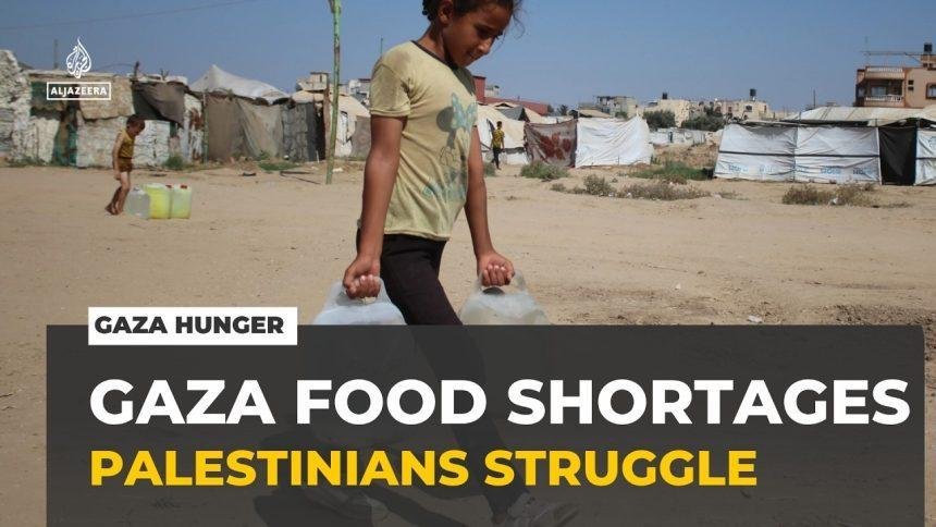 Gaza hunger crisis deepens: Palestinians struggle amid severe food shortages