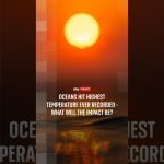 Oceans hit highest temperature ever recorded - what will the impact be?