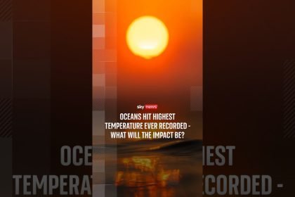 Oceans hit highest temperature ever recorded - what will the impact be?