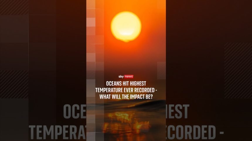 Oceans hit highest temperature ever recorded - what will the impact be?