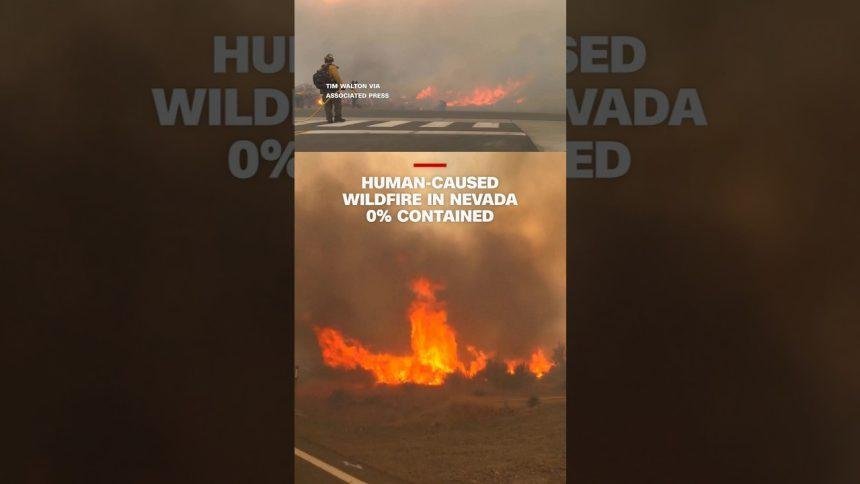 Human-caused wildfire in Nevada 0% contained