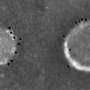 Nanoparticle flu vaccine protects against three influenza strains in mice